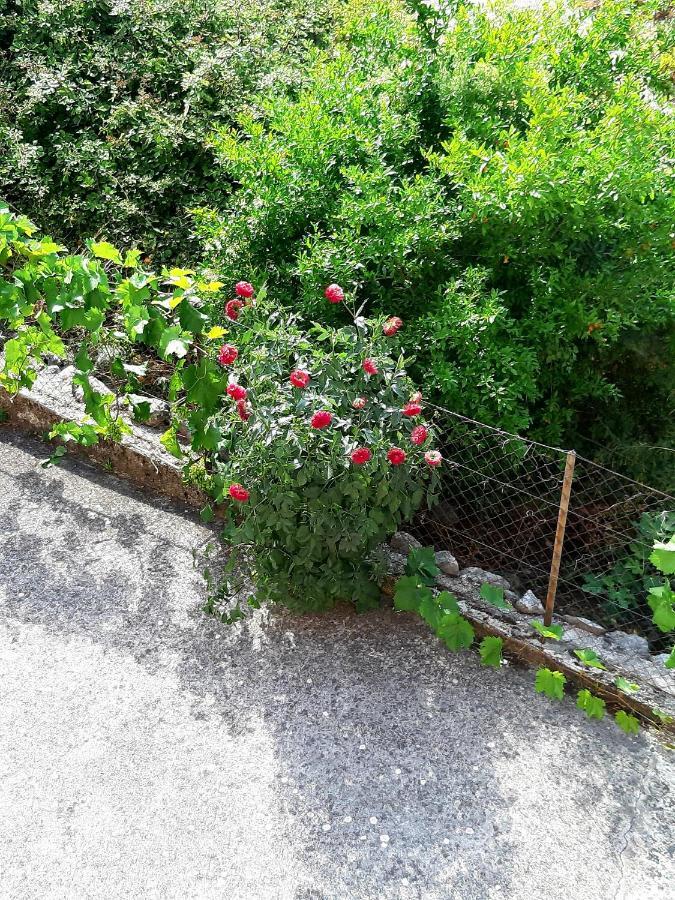 Apartments Parapid Budva Exterior foto